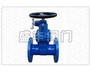 RVBX/Z45X鎖閉式軟密封閘閥